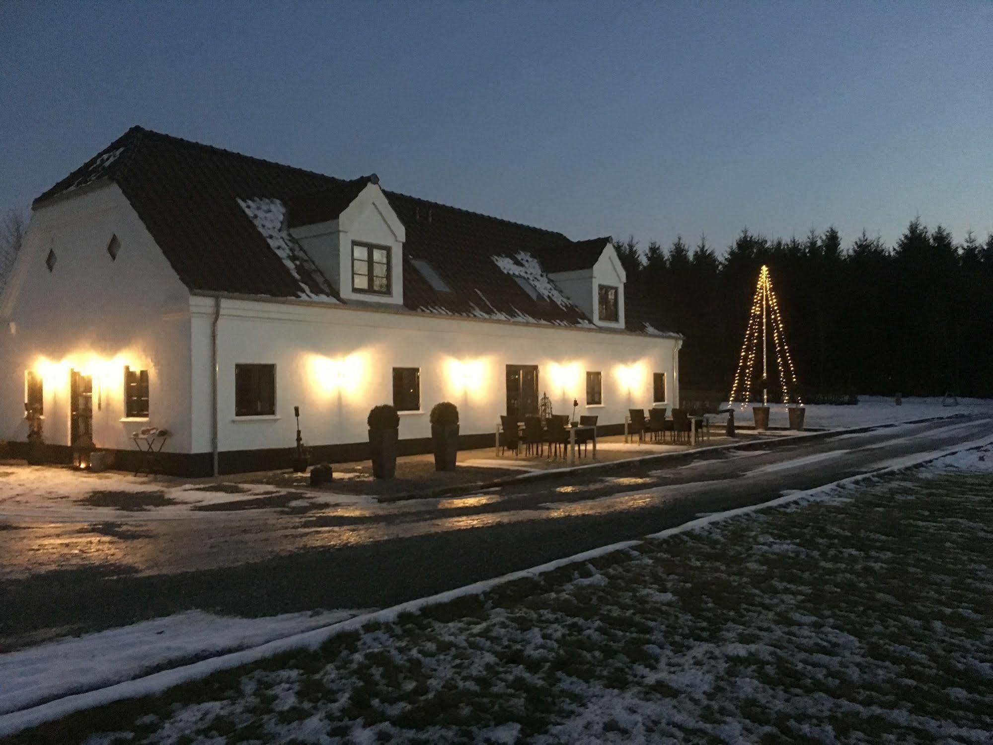 Engesvang Hedegaarden Bed & Breakfast エクステリア 写真